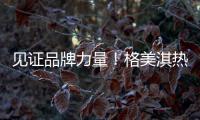 见证品牌力量	
！格美淇热水器荣获“中国十大品牌”称号