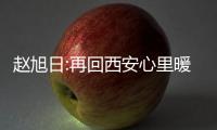 快排公司十年历程，霸屏兔 seo 的崛起与坚守