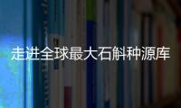 走进全球最大石斛种源库：探索野生石斛种质资源异地保护