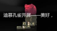迪慕孔雀开屏——美好，幸福，只此一灯，便是万年!