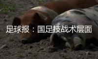 足球报	�：国足技战术层面和亚洲强队差距太大 腰无力困境更是无解