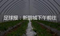 足球报
：新鹏城下午前往武汉和三镇热身
	，新帅穆尼奥斯随队前往