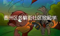香洲区各镇街社区掀起学雷锋热潮	，用志愿微光点亮城市各个角落
