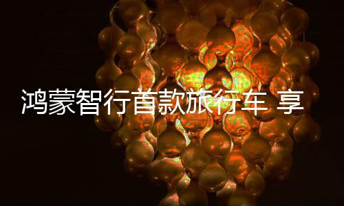 旅行计划于2025年秋季上市