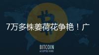 7万多株姜荷花争艳！广州白云第三届姜荷花文化节本周五开幕