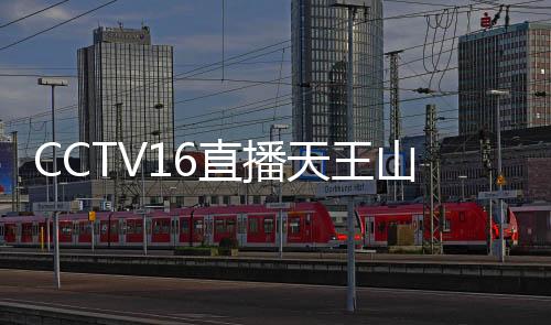 天王天意国安和申花同积38分
