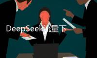 DeepSeek流量下滑
，这半年梁文锋都干了啥？