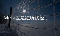 Meta这是独辟蹊径，还是病急乱投医	？