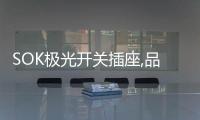 SOK极光开关插座,品牌精品，质量上乘