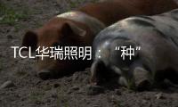 TCL华瑞照明
：“种”一片翠绿，让生活和工作更添生机