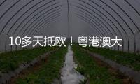 10多天抵欧
！粤港澳大湾区首条中欧班列电商快线开通