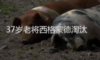 37岁老将西格蒙德淘汰幸运落败者首进温网八强，将战萨巴伦卡