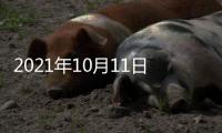 2021年10月11日，外交部新闻发言人赵立坚主持例行记者会答问澳门月刊记者
