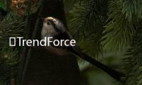 ​TrendForce
：新技术产品带动QD