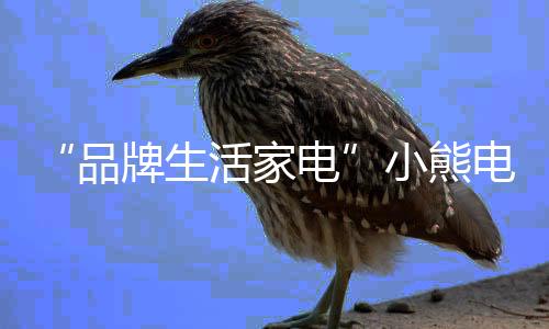 小熊电器也紧跟消费升级渠道
