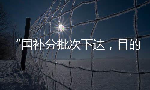分批2025年相比2024年