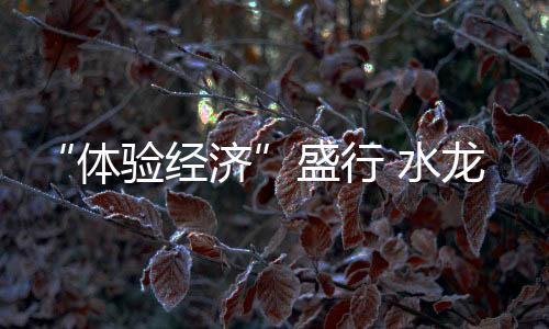 盛行水龙实现全网融合