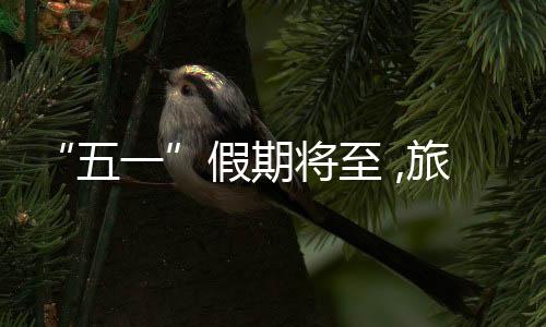 在线旅游平台数据显示