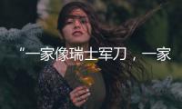 “一家像瑞士军刀
，一家像手术刀”：中国版英伟达抢滩科创板