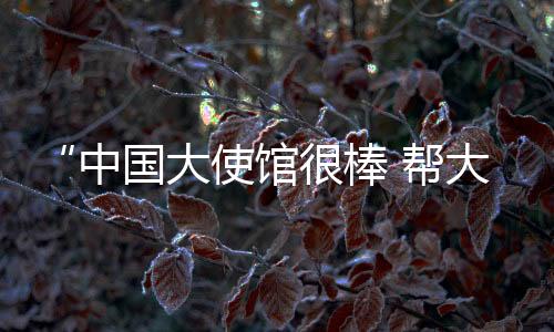 加强防范和应急准备