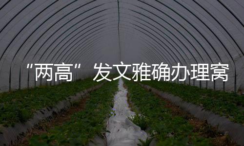 窝藏问题不以窝藏罪定罪处罚