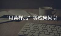 “月背样品”等成果何以入选？专家解读“中国科学十大进展”