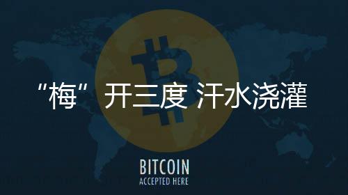 加入国外高水平俱乐部