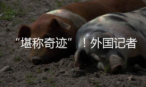牧场这一点至关重要