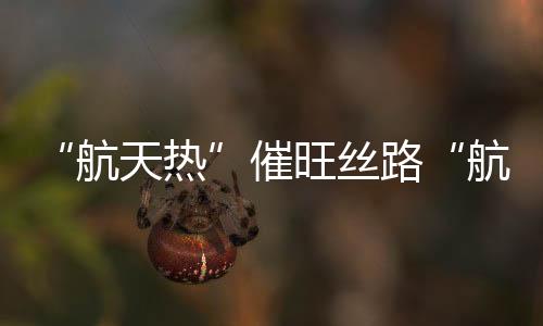 近年当地大打“航天牌”