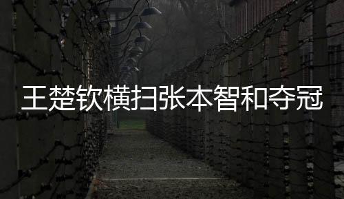把张本智和完全打懵了