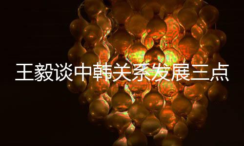 王毅两国关系发生历史性变化