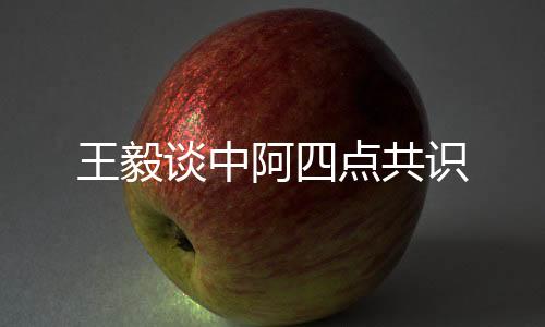 谈中提供一切必要援助