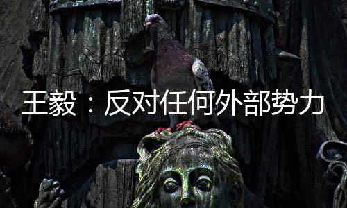 任何外部发展障碍逐步解除