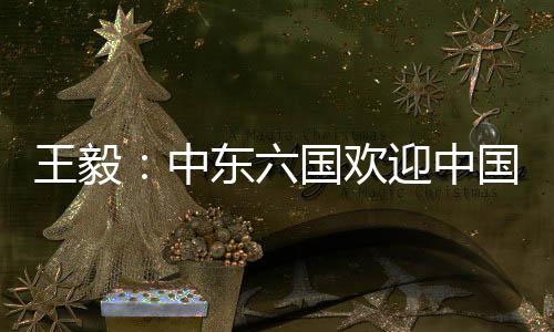 这是王毅务此访的最重要成果