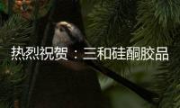 快排公司十年历程，霸屏兔 seo 的崛起与坚守