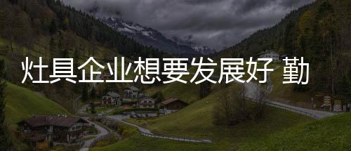 对灶具整体市场造成很大影响
