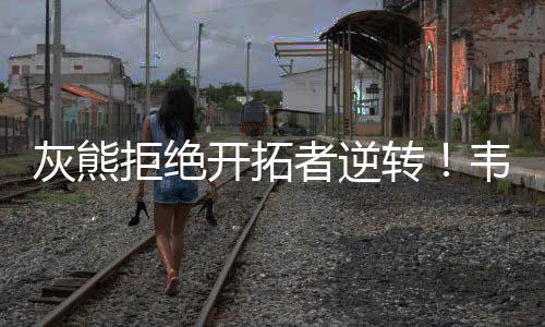 其他的逆转韦开拓者球员