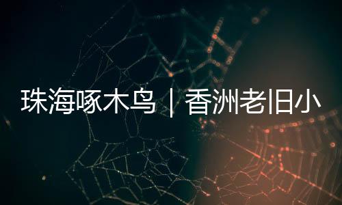 并于4月21日前自行拆除改正