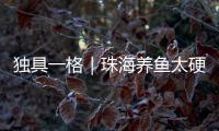 独具一格｜珠海养鱼太硬核！CGTN记者直呼Amazing！