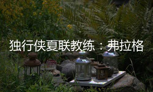 夏季联赛独行侠面对湖人