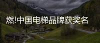 燃!中国电梯品牌获奖名单揭晓，佳登曼电梯上榜