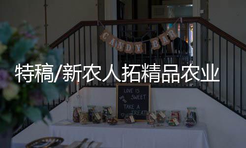 2018年从广东务工返乡后