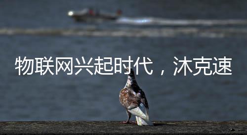 让轻快的沐浴更加欢快有趣!