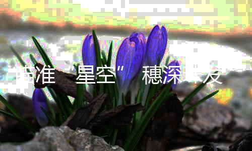 航天航空和卫星成为一大亮点