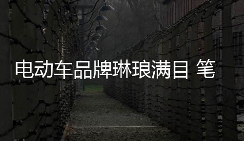 琅满充电线比较粗且韧性好