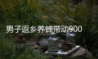 男子返乡养蝉带动900余户创业：一晚最多捉1.3万只
，1只1元
，有人捉十几天就回本