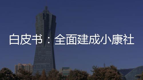 保障人、境界白皮书指出