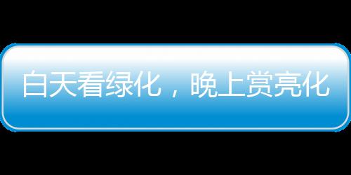 是亮化夜间的魔法师