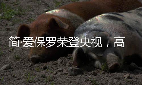 服务质量、保罗所以