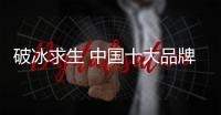 快排公司十年历程，霸屏兔 seo 的崛起与坚守
